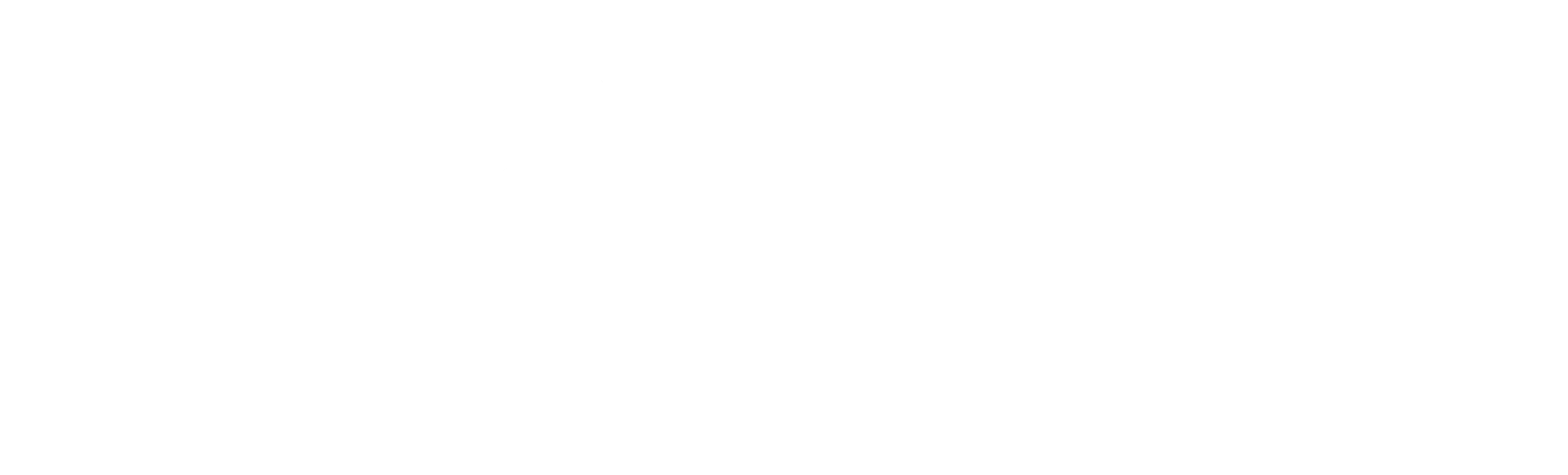 Solver Ireland Footer Logo